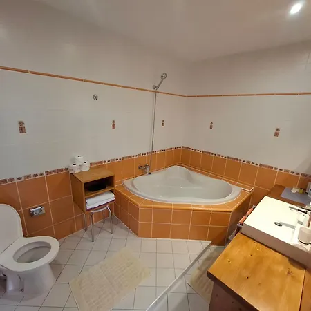 Guest house Three Frantiskovy Lazne