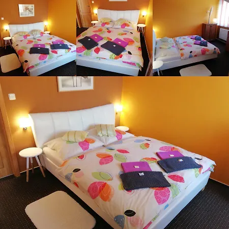 Guest house Three Frantiskovy Lazne