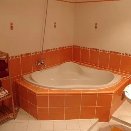 Guest house Three 3*